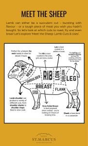 meet the sheep - guide to cuts