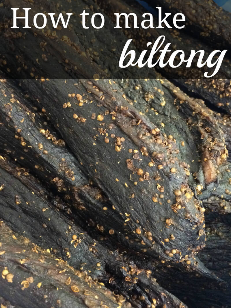 How to Make Biltong